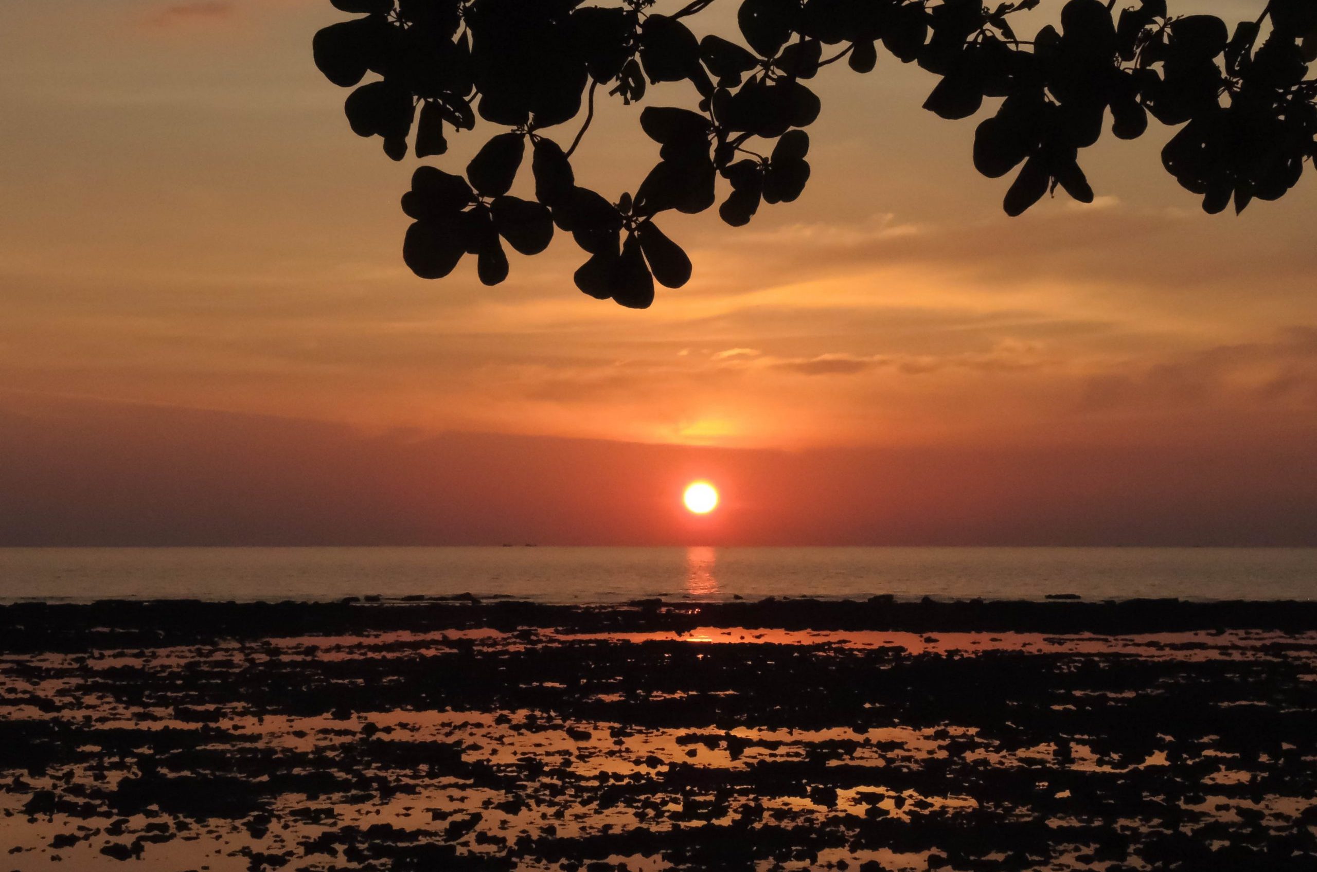 Sunset, rock pools and leaves Klong Khon beach 2 (1 of 1)