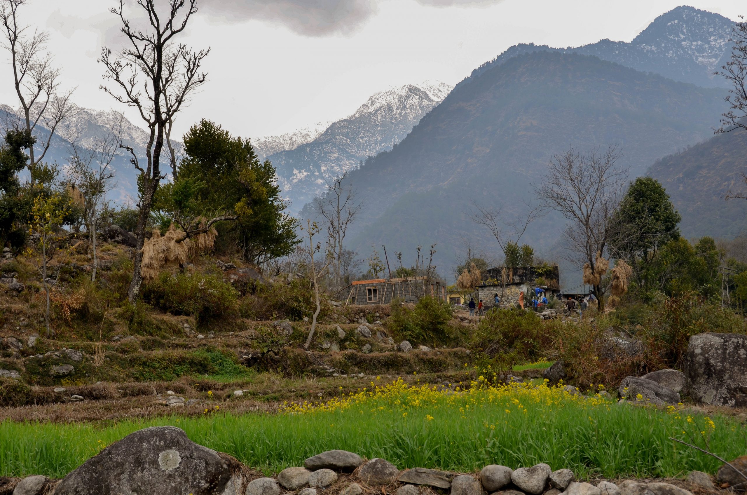 Village Himalaya